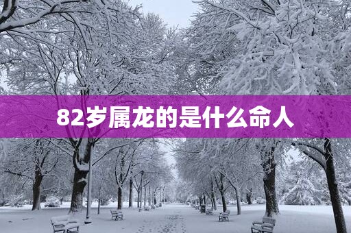 82岁属龙的是什么命人