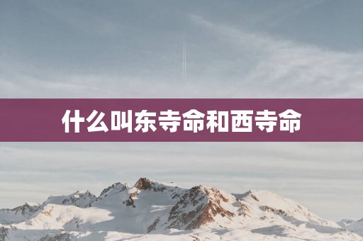 什么叫东寺命和西寺命