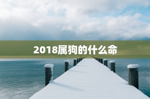 2018属狗的什么命