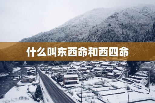 什么叫东西命和西四命