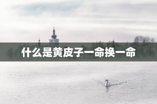 什么是黄皮子一命换一命
