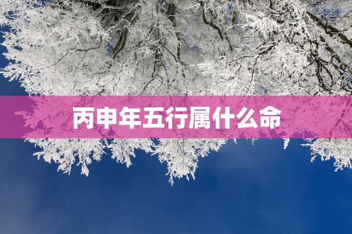 丙申年五行属什么命