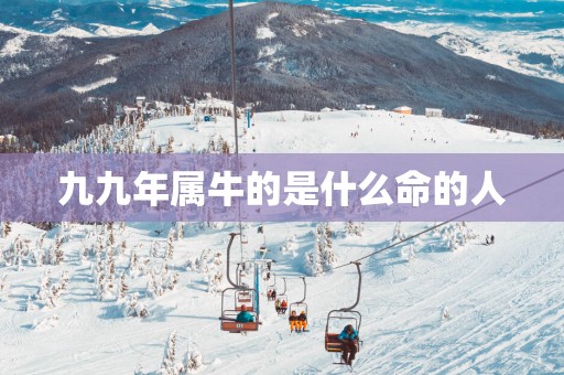 九九年属牛的是什么命的人