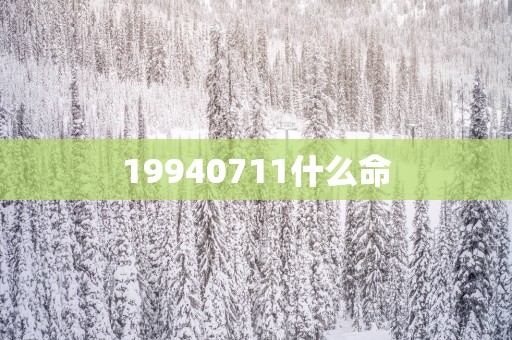 19940711什么命