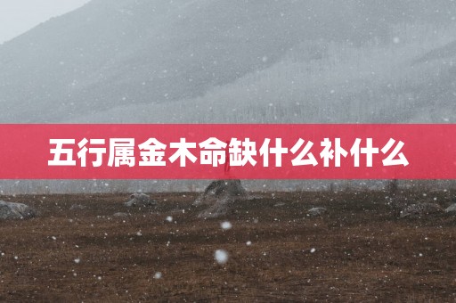 五行属金木命缺什么补什么