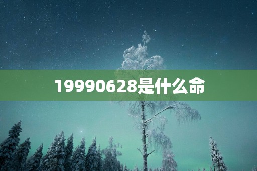 19990628是什么命