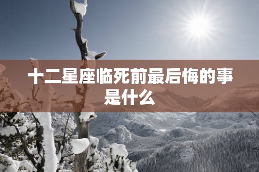十二星座临死前最后悔的事是什么