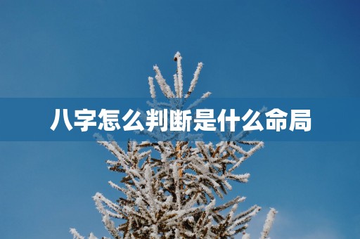 八字怎么判断是什么命局
