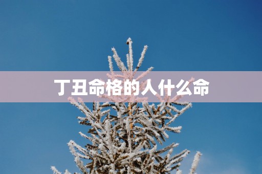丁丑命格的人什么命