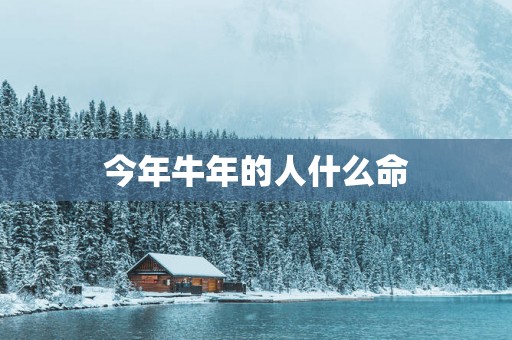 今年蛇年的人什么命