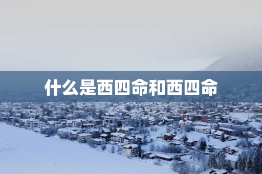 什么是西四命和西四命
