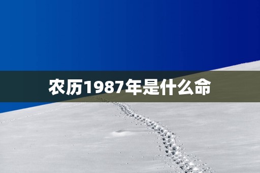 农历1987年是什么命