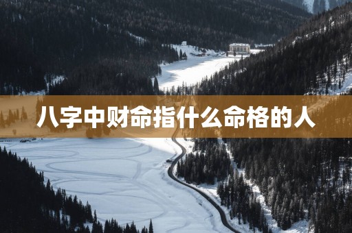 八字中财命指什么命格的人