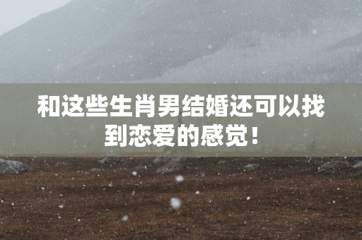 和这些生肖男结婚还可以找到恋爱的感觉！