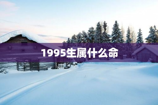 1995生属什么命