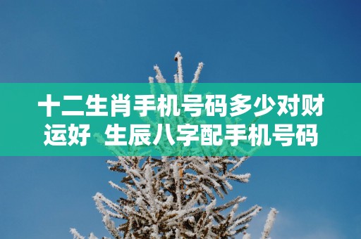 十二生肖手机号码多少对财运好  生辰八字配手机号码
