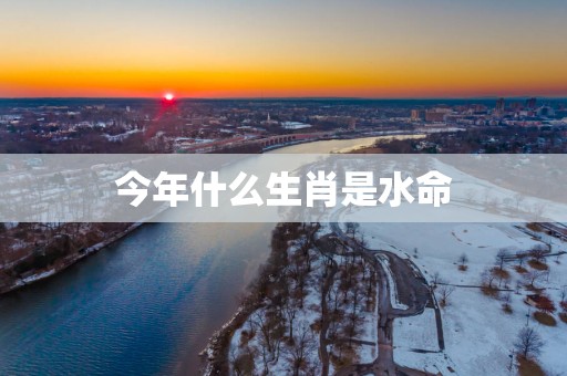今年什么生肖是水命
