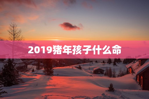 2019猪年孩子什么命