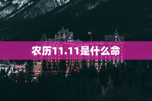 农历11.11是什么命