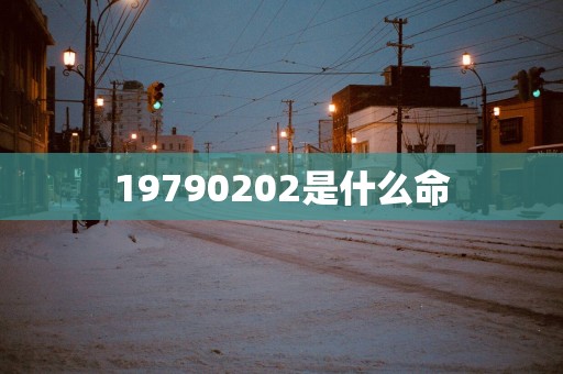 19790202是什么命