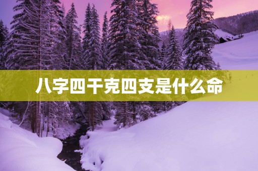 八字四干克四支是什么命