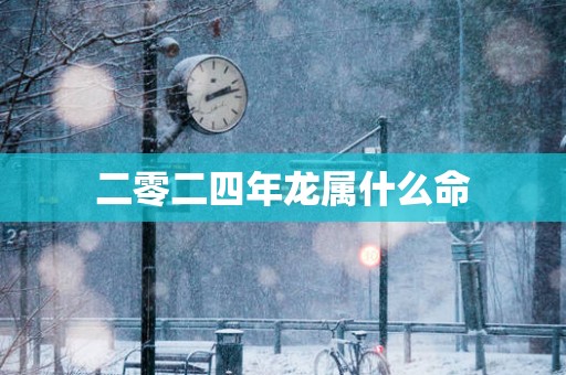 二零二四年龙属什么命