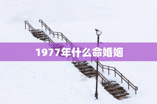 1977年什么命婚姻