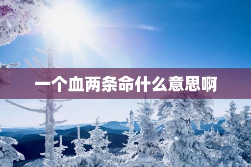 一个血两条命什么意思啊