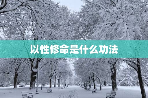 以性修命是什么功法