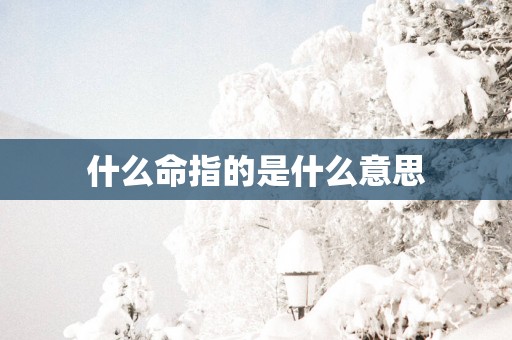 什么命指的是什么意思