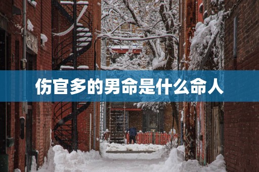 伤官多的男命是什么命人