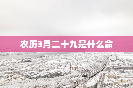 农历3月二十九是什么命