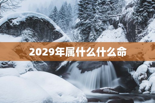 2029年属什么什么命