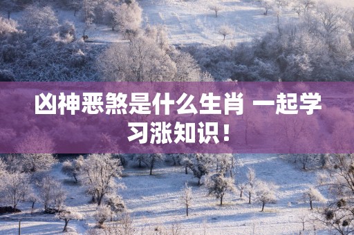 凶神恶煞是什么生肖 一起学习涨知识！