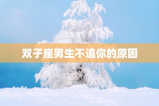 双子座男生不追你的原因