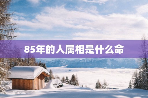 85年的人属相是什么命