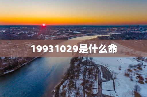 19931029是什么命
