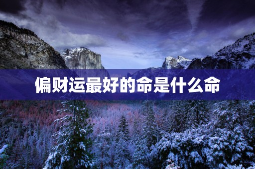 偏财运最好的命是什么命