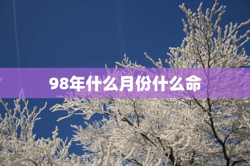 98年什么月份什么命