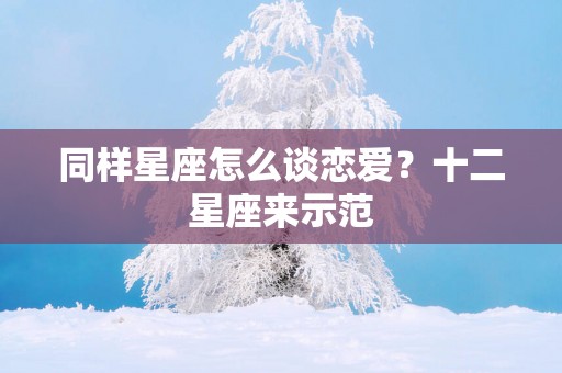 同样星座怎么谈恋爱？十二星座来示范