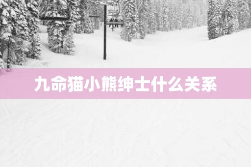 九命猫小熊绅士什么关系
