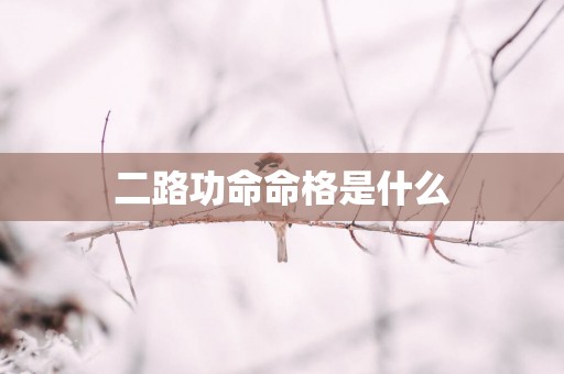 二路功命命格是什么