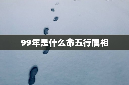99年是什么命五行属相