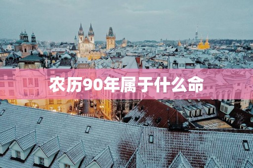 农历90年属于什么命