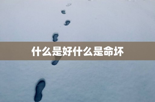 什么是好什么是命坏