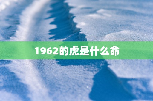 1962的虎是什么命