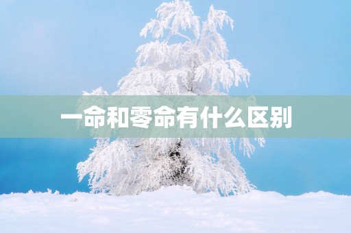 一命和零命有什么区别
