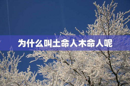 为什么叫土命人木命人呢
