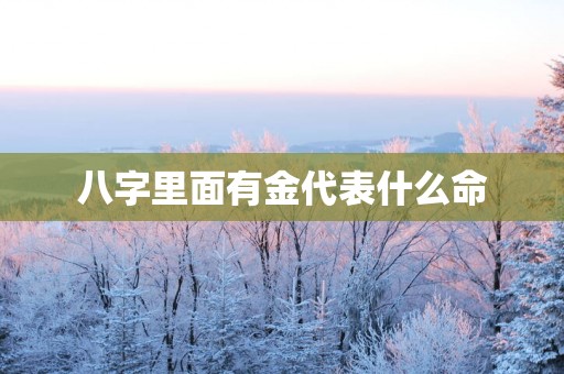八字里面有金代表什么命