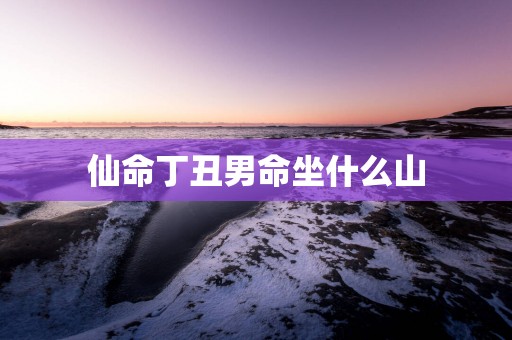 仙命丁丑男命坐什么山